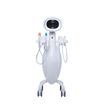 Anti Wrinkle 300W HIFU Machine Skin Rejuvenation 2MHZ 4MHZ 5.5MHZ 12D